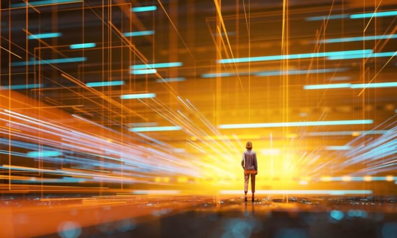 软件开发